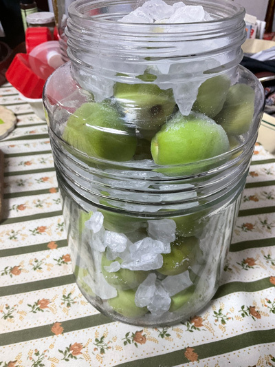 bIMG_0514.jpg