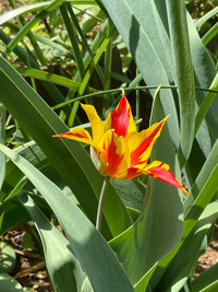 bIMG_2235.jpg