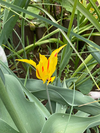 bIMG_2267.jpg