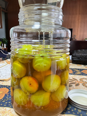 bIMG_2607.jpg