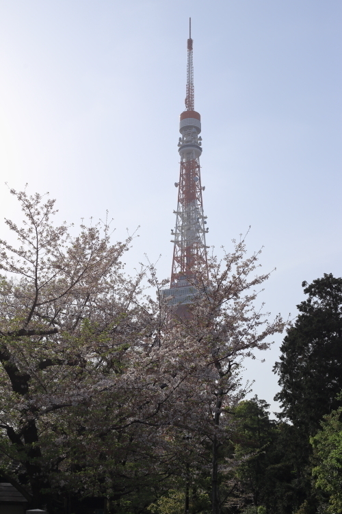 bIMG_8356.JPG
