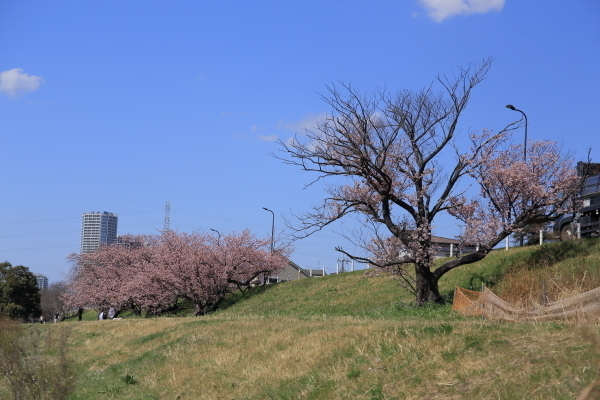 bIMG_9494.JPG